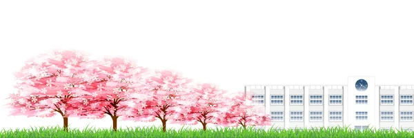 桜学校春の背景 — ストックベクタ