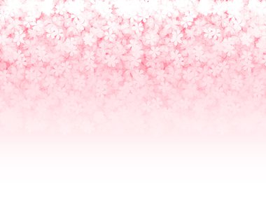 Kiraz bahar çiçek arka plan