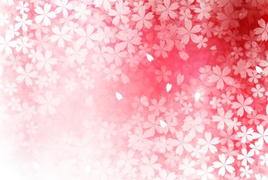 Kiraz bahar çiçek arka plan