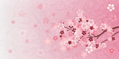 Kiraz bahar çiçek arka plan