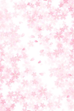 Kiraz bahar çiçek arka plan