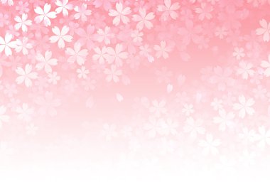 Kiraz bahar çiçek arka plan