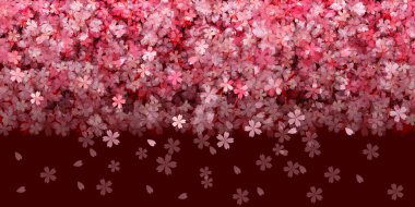 Kiraz bahar çiçek arka plan