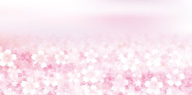 Kiraz bahar çiçek arka plan