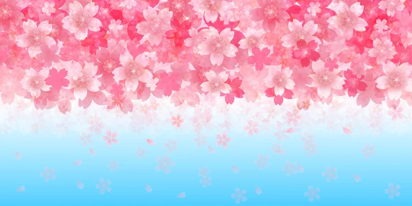 Cherry spring flower background — Stock Vector