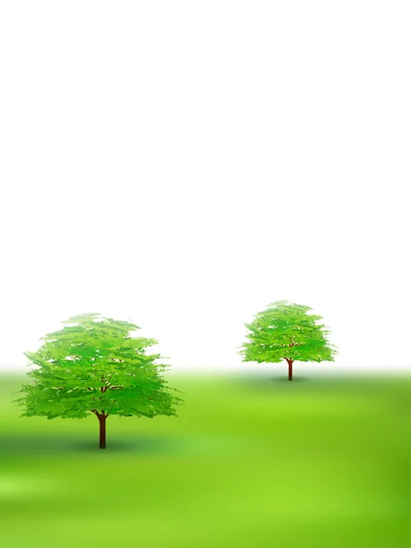 Hojas de árboles fondo verde fresco — Vector de stock
