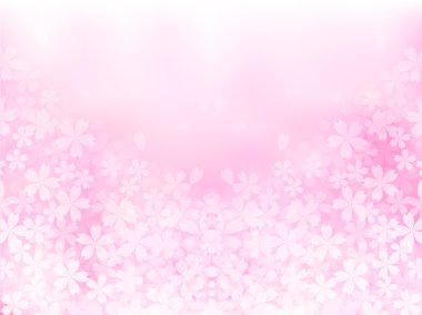 Kiraz bahar çiçek arka plan