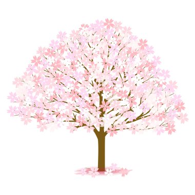 Cherry spring flower icon clipart