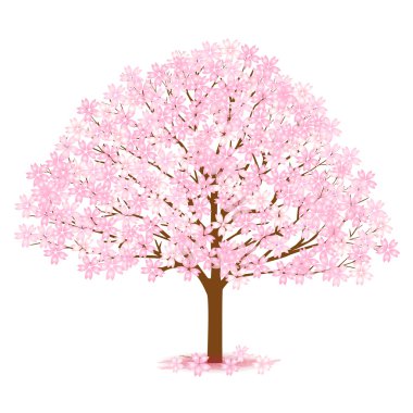 Kiraz bahar çiçek simgesi