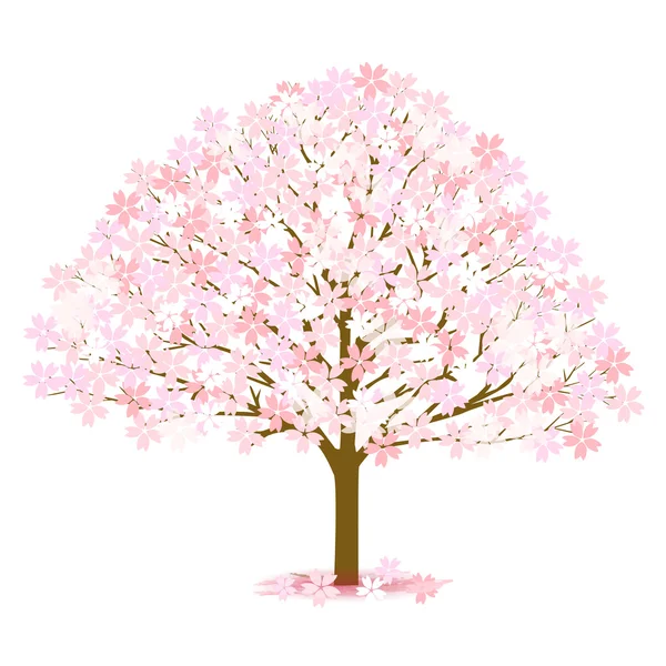 Icono de flor de primavera cereza — Vector de stock