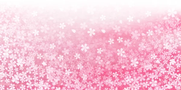 Kiraz bahar çiçek arka plan