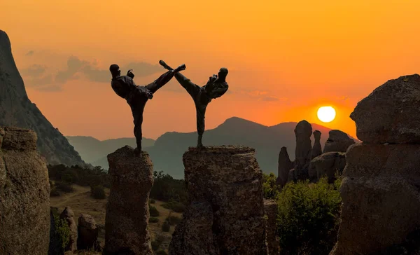 Two Japanese Ninja Black Dress Fighting Beautiful Mountains Landscape Background — Stock Photo, Image