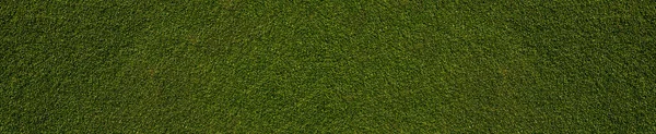 Широкий Фон Зеленой Травы Текстуры — стоковое фото