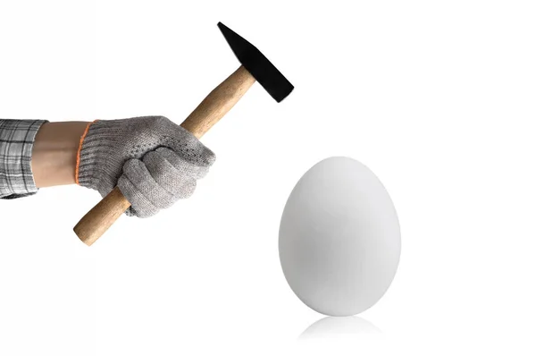 Hand Hold Hammer Batter White Chicken Egg White Background Isolated — Stock Photo, Image