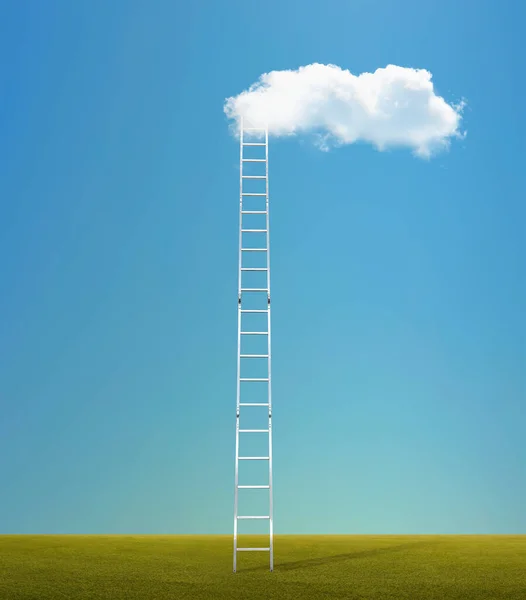 Зеленое Поле Лестницей Помещенной Облако Голубом Небе Лестница Небеса — стоковое фото