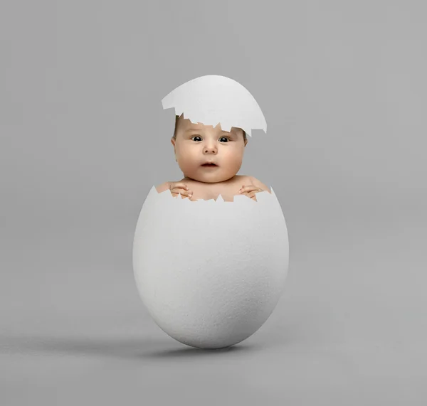 Egg with baby — Stock Photo, Image