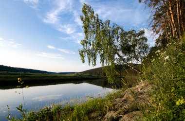 nehir ve huş ağacı