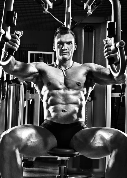 Bodybuilder Stockbild