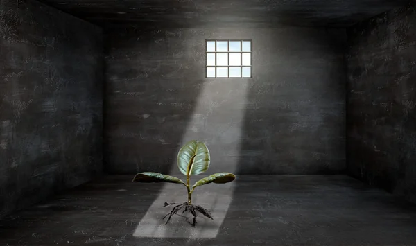 Betonboden in einer Gefängniszelle — Stockfoto