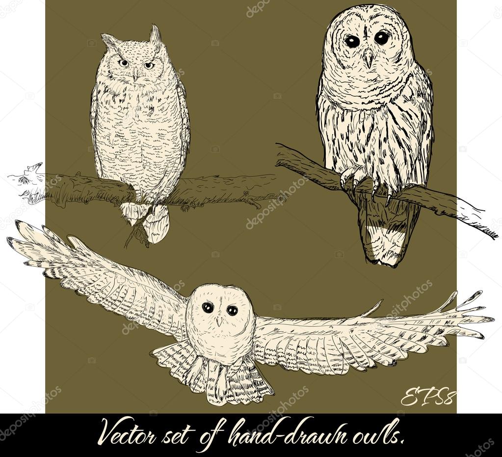 Set of isolated hand-drawn owls 2.