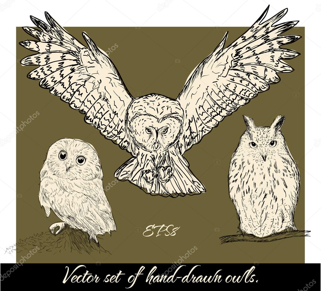 Set of isolated hand-drawn owls 1.