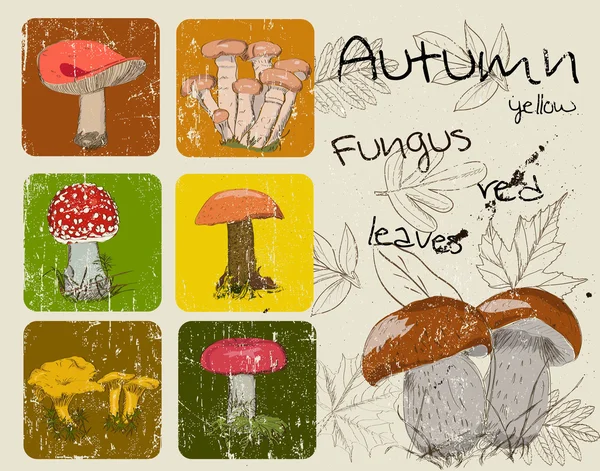 Vintage poster met herfst planten en fungis. — Stockvector