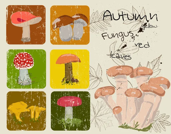 Cartaz vintage com plantas de outono e fungos . Vetor De Stock
