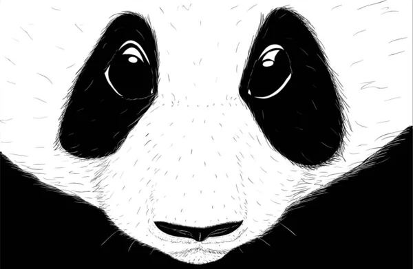 Hand-drawn EPS 8 Vector illustration of cute Panda 3 — Stock Vector