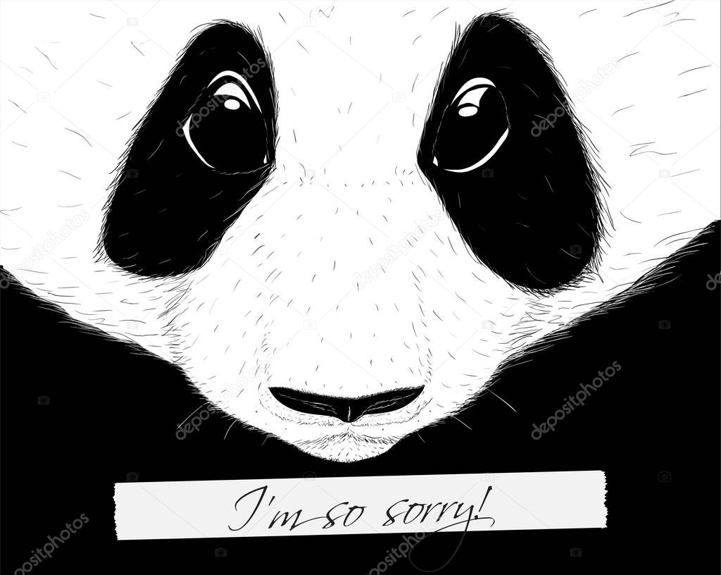 Sorry panda. Hand drawing sketch style vector illustration