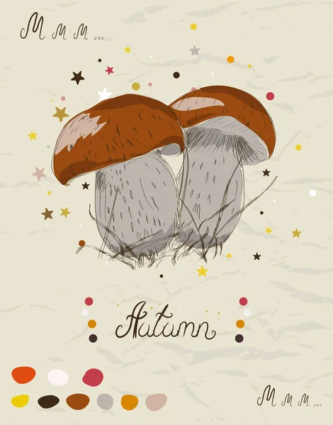 Vintage poster with mushroom from my autumn collection of posters and seamless textures. Vector illustration — Stock Vector