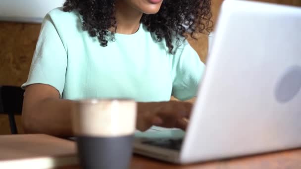 Pensant mixte femme d'affaires travaillant sur ordinateur portable à l'intérieur du bureau — Video