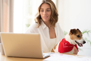 Evde dizüstü bilgisayarda çalışan sevimli köpekli güzel bir kadın..