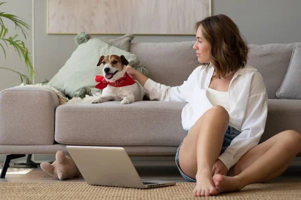 Mulher bonita com cão bonito trabalhando no laptop em casa. — Fotografia de Stock