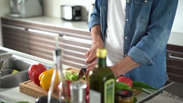 Giovane uomo felice preparare cibo sano da solo a casa, tagliando insalata di verdure fresche in piedi in interni cucina moderna — Video Stock