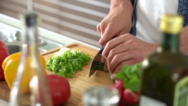 Jovem homem feliz preparando comida saudável sozinho em casa, cortando salada de legumes frescos em pé no interior da cozinha moderna — Vídeo de Stock