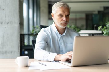 Mutlu Avrupalı iş adamı CEO 'su bilgisayar kullanıyor, daktilo kullanıyor, modern ofiste çalışıyor, çevrimiçi veri pazarı analizi yapıyor, bilgisayar kopyalama alanı olan dizüstü bilgisayara bakarak teknoloji stratejisi planlıyor.