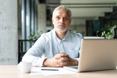 Mutlu Avrupalı iş adamı CEO 'su bilgisayar kullanıyor, daktilo kullanıyor, modern ofiste çalışıyor, çevrimiçi veri pazarı analizi yapıyor, bilgisayar kopyalama alanı olan dizüstü bilgisayara bakarak teknoloji stratejisi planlıyor.