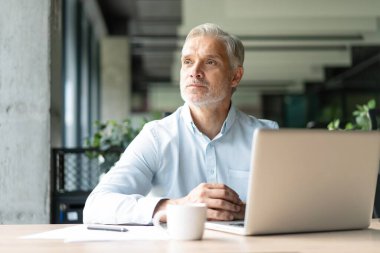 Mutlu Avrupalı iş adamı CEO 'su bilgisayar kullanıyor, daktilo kullanıyor, modern ofiste çalışıyor, çevrimiçi veri pazarı analizi yapıyor, bilgisayar kopyalama alanı olan dizüstü bilgisayara bakarak teknoloji stratejisi planlıyor.