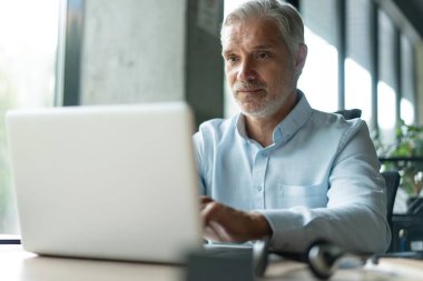 İş yerinde bilgisayar kullanarak kameraya bakan olgun iş adamı. Gülümseyen erkek şirket çalışanı, proje yöneticisi veya girişimci portresi