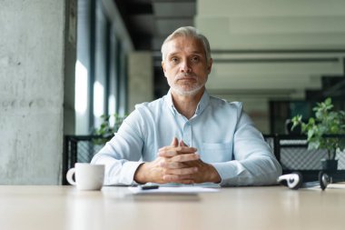 Mavi takım elbiseli mutlu, orta yaşlı, profesyonel iş adamı yönetim kurulu başkanı ofiste oturmuş laptopta çalışırken işyerinde gülerken. Portre.