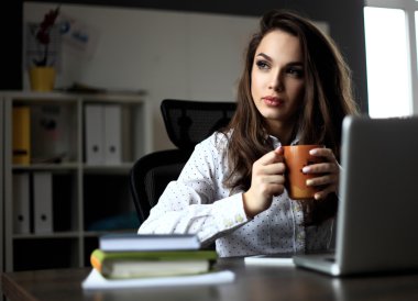 Mutlu Genç Güzel Kadın Laptop Kullanıyor, İçerde