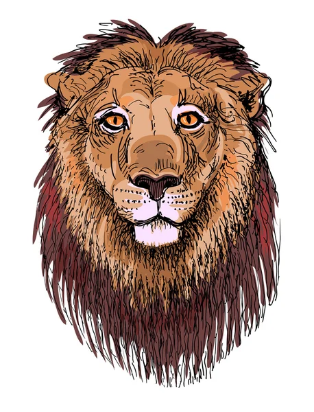 Oeuvre lion, croquis dessin de têtes d'animaux — Image vectorielle