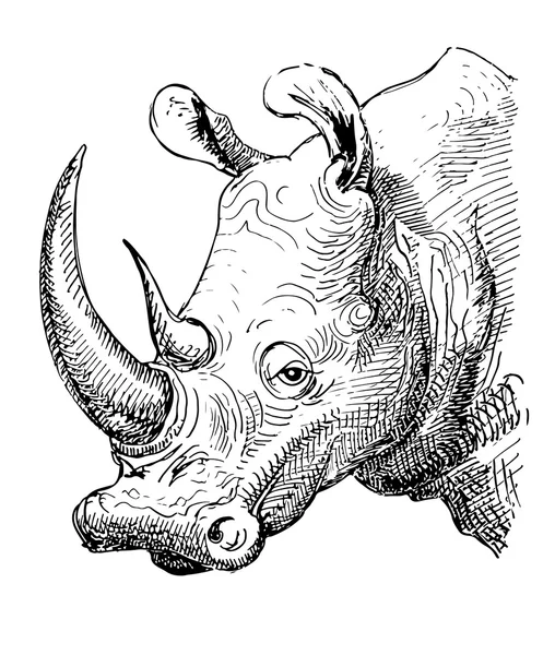 Artwork rhinoceros, sketch black and white drawing — Stock Vector