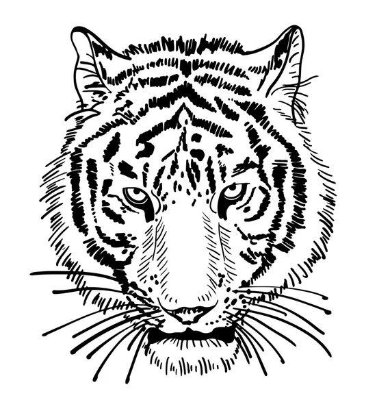 Obra de arte de retrato de la cara de tigre, silueta de la cabeza — Vector de stock
