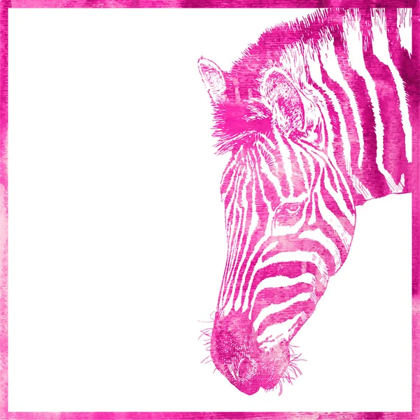 Acuarela animal fondo en color rosa, cabeza de cebra, vecto — Archivo Imágenes Vectoriales