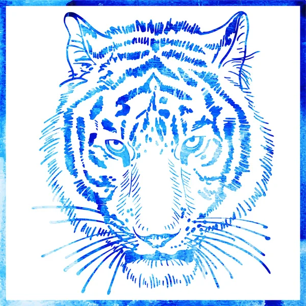 Cap de tigru este într-o lucrare de artă acuarelă într-o culoare albastră, portra — Vector de stoc