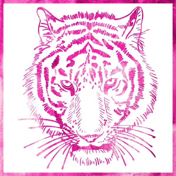 Head of tiger is in a watercolor artwork in pink color, portrait — Stock Vector