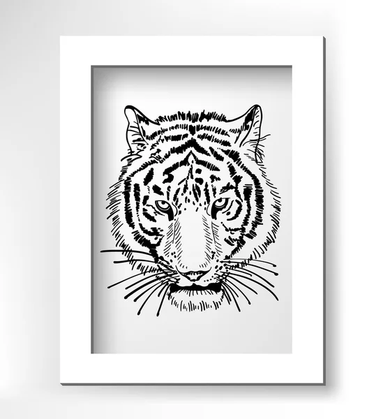Grafika portret twarz tygrys, głowa sylwetka — Wektor stockowy