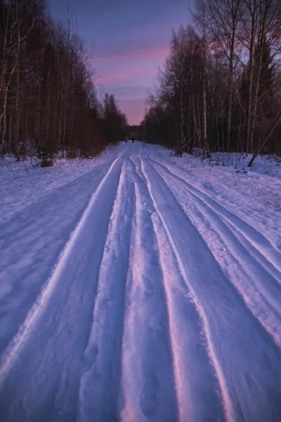 Estrada crepúsculo na floresta de inverno — Fotografia de Stock