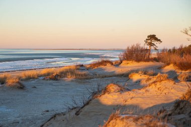 Kışın beyaz denizde, Severodvinsk 'te çam ormanlı kum tepeleri